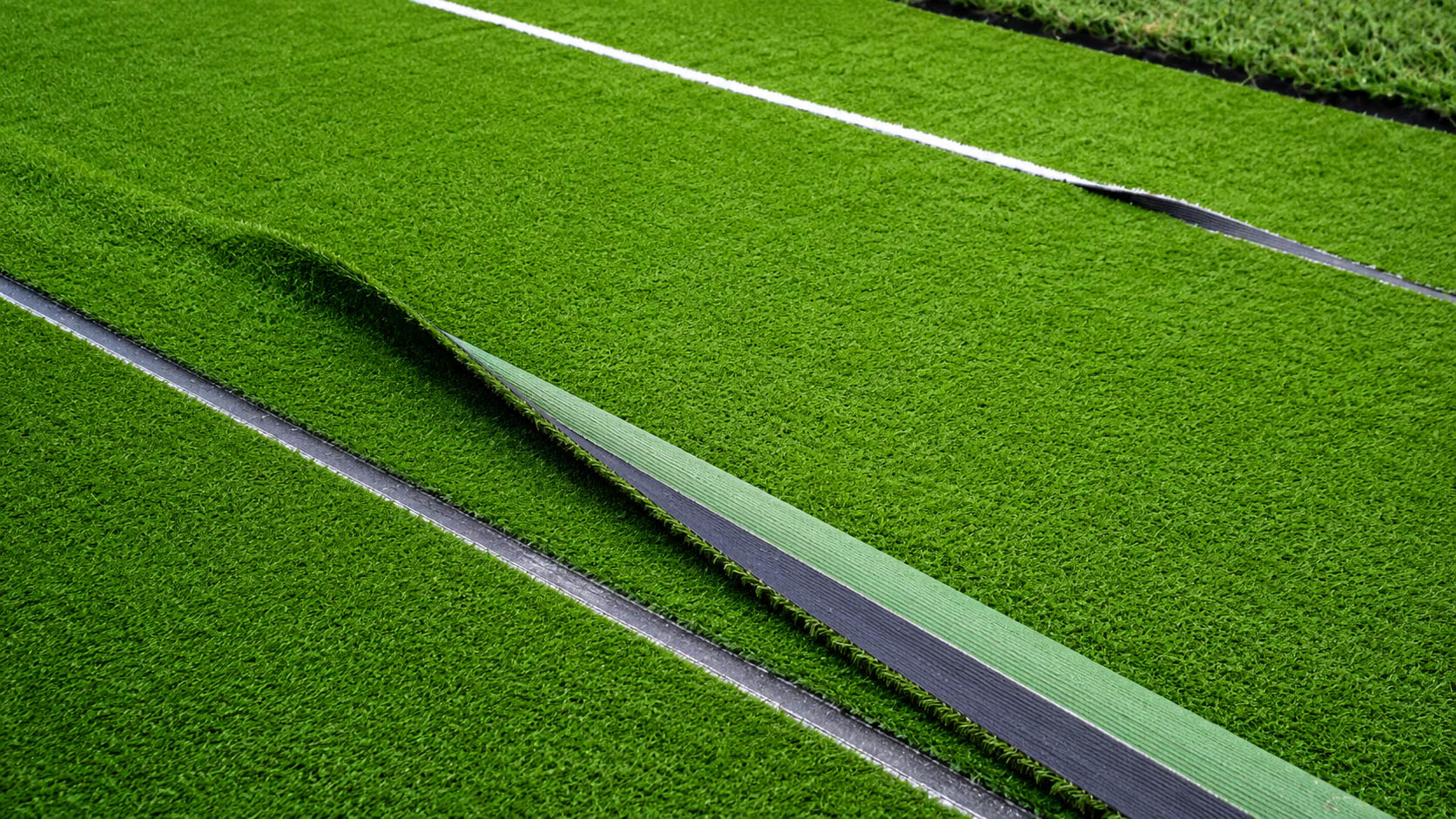 Pasto Residencial